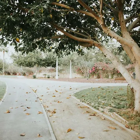 Appartement Nina Playa de las Américas