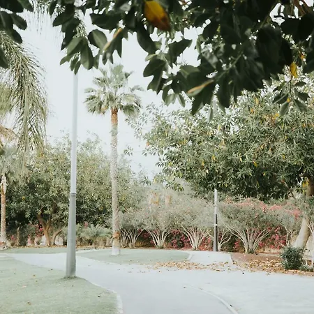 Nina Playa de las Américas